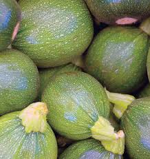 Green Ronde de Seeds for Planting – Heirloom, Non-GMO, High Germination, Organic Garden Seeds, Compact Round Zucchini