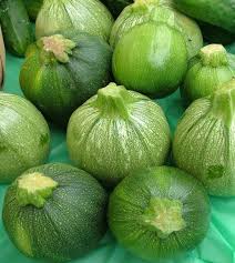 Green Ronde de Seeds for Planting – Heirloom, Non-GMO, High Germination, Organic Garden Seeds, Compact Round Zucchini