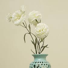 White Carnations Flower Seeds for Planting – Heirloom, Non-GMO, Perfect for Borders, Organic Garden Seeds, High Germination