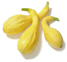 Crookneck Vegetable Seeds for Planting – Heirloom & Non-GMO, High Germination Seeds for Curved Yellow Squash in Summer Recipes