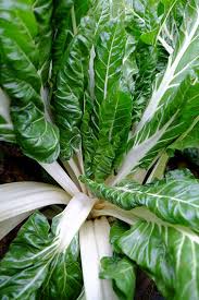 Green Swiss Chard Seeds for Planting – Heirloom, Non-GMO, High Germination Organic Garden Seeds