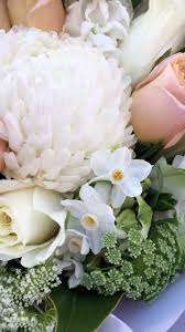 White Pretty Pastel Flower Seeds for Planting – Heirloom, Non-GMO, Sun Loving, High Germination