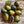 Atomic Grape Tomato Seeds for Planting – Heirloom Non-GMO Colorful Cherry Vegetable Seeds with High Germination