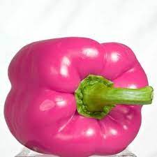 Vegetable Seeds,Garden seeds, Seeds For Planting,Plant Seeds