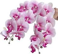 Pink Butterfly Orchid Flower Seeds for Planting – Fragrant Blossoms, Heirloom, Non-GMO, High Germination Organic Garden Seeds