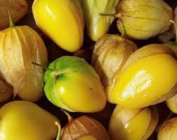 Light Yellow Tomatillo Seeds for Planting – Heirloom Non-GMO Seeds, tangy husked fruit for salsa – 100 pcs