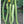 Armenian Pale Green Cucumber Seeds for Planting – Heirloom Non-GMO Seeds, crisp and curling fruits – 100 pcs