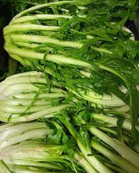 Cicoria Vegetable Seeds for Planting – Heirloom & Non-GMO Italian Chicory Seeds