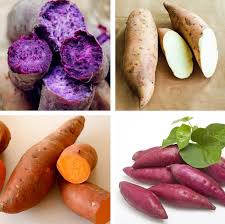 Sweet Potato Seeds for Planting – Mixed Heirloom, Non-GMO, High Germination Organic Garden Seeds for Edible Roots