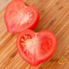 Pink Oxheart Tomato flower seeds for planting - Heirloom & Non-GMO Garden Seeds