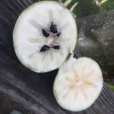 White Star Apple fruit seeds for planting - Heirloom & Non-GMO Garden seeds, sweet tropical harvest