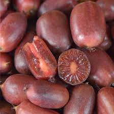 kiwi fruit plant seeds Scarlet Kiwi fruit seeds for planting