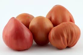 Pink Oxheart Tomato flower seeds for planting - Heirloom & Non-GMO Garden Seeds