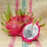 White Flesh Dragon Fruit Seeds – Non-GMO, Heirloom, for Garden Planting