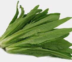 Green Yau Mak Choi Seeds for Planting – Heirloom Non-GMO, High Germination Organic Garden Seeds