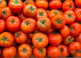 Tomato Vegetable Seeds for Planting – Heirloom Non-GMO Red Shade Tomatoes – High Germination Organic Garden Seeds
