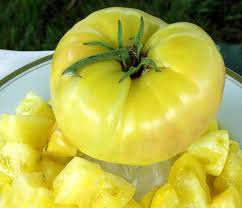 Huge Tomato Seeds for Planting – Dark Yellow Heirloom, Non-GMO, High Germination Organic Garden Seeds for Giant Tomatoes