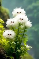 White Cat&