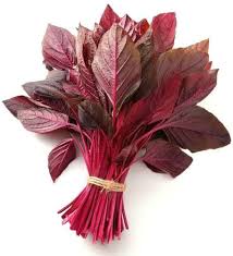 Amaranth Red Leaf Seeds 