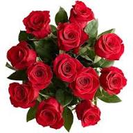 Rose Flower Seeds for Planting – Heirloom Non-GMO High Germination Organic Garden Seeds
