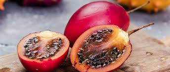 Tamarillo Vegetable Seeds for Planting – Heirloom & Non-GMO Garden Seeds
