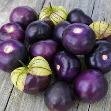 Purple Tamarillo fruit seeds for planting - Heirloom & Non-GMO Garden seeds
