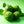 Bergamot Vegetable Seeds for Planting – Heirloom Non-GMO Organic Garden Seeds – Citrus-Scented Herb, High Germination