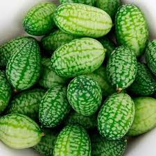 Mini Cucamelon Vegetable Seeds for Planting – Heirloom Non-GMO Organic Garden Seeds – Tiny Cucumber-Like Fruits, High Germination