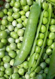 Fresh Peas Seeds for Planting – Heirloom, Non-GMO, Organic Garden Seeds, High Germination, Sweet Crisp Pods for Home Gardens