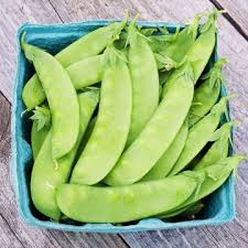 Snow Pea Vegetable Seeds for Planting – Heirloom Non-GMO Sweet Pod Variety – Organic Garden Seeds