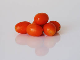 Red Kumquat Orange Fruit Seeds – Ideal for Home Garden, Heirloom & Non-GMO Seeds