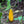 Yellow Eggplant Seeds for Planting – Heirloom & Non-GMO Vegetable Seeds for Rare and Vibrant Harvests