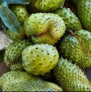 Mixed Soursop fruit seeds for planting - Heirloom & Non-GMO Tropical Garden seeds
