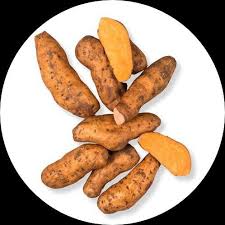 Sweet Potato Seeds for Planting – Heirloom, Non-GMO, Nutritious Organic Garden Seeds – High Germination, High Yield Roots