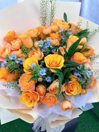 Orange Mix Rose Flower Seeds for Planting – Heirloom, Non-GMO, High Germination Garden Seeds