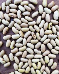 Yellow Arikara Bean flower seeds for planting - Heirloom & Non-GMO Garden Seeds