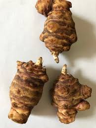 Topinambur Vegetable Seeds for Planting – Heirloom & Non-GMO Garden Seeds