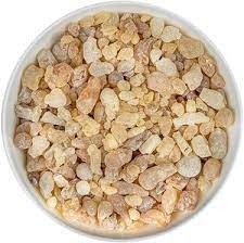 Boswellia Sacra Seeds for Planting – Heirloom, NON-GMO, Easy to Grow Frankincense Tree Seeds, 100 pcs
