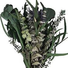 Mixed Eucalyptus Flower Seeds for Planting – Heirloom Non-GMO Vibrant Colors Organic Garden Seeds