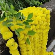 Chrysanthemum Marigold Flower Seeds for Planting – Bright Blooms, Heirloom, Non-GMO, High Germination