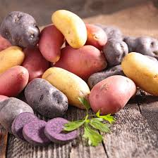 Mixed Potato Seeds for Planting – Heirloom Non-GMO Colorful Root Vegetable Seeds with High Germination for Organic Gardens