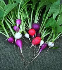 Vegetable Seeds,Garden seeds, Seeds For Planting,Plant Seeds