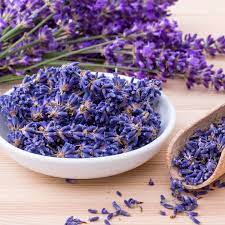Flower Seeds, Seeds,Seeds For Planting,Plant Seeds