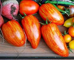 Speckled Roman Tomato Seeds for Planting – Heirloom, Non-GMO, High Germination Organic Garden Seeds