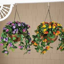 Heirloom Hanging Pansy Flower Seeds for Planting – Non-GMO, Fragrant Blossoms Organic Garden Seeds