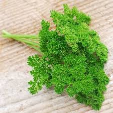 Curly Parsley Seeds 