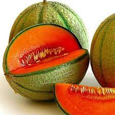 Breast Melon fruit seeds for planting - Heirloom & Non-GMO garden seeds for refreshing backyard harvests