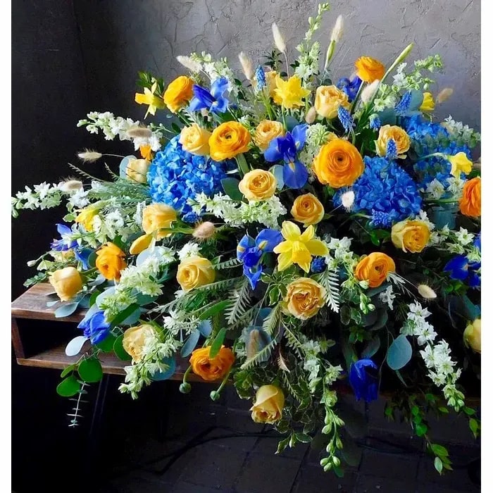Sky Blue Yellow Heart Flower Seeds for Planting – Heirloom, Non-GMO, Bright Blooms, High Germination