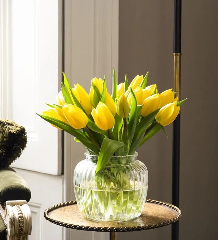 Light Yellow Tulip Flower Seeds – Wildflower Mix, Heirloom & Non-GMO Seeds for Home Garden
