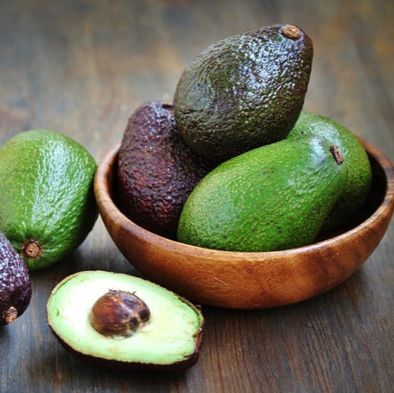 Avocado fruit seeds for planting - Heirloom & Non-GMO Garden seeds, creamy fruit trees for home growing